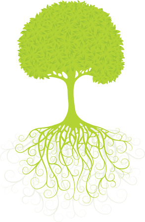 6991328 - tree